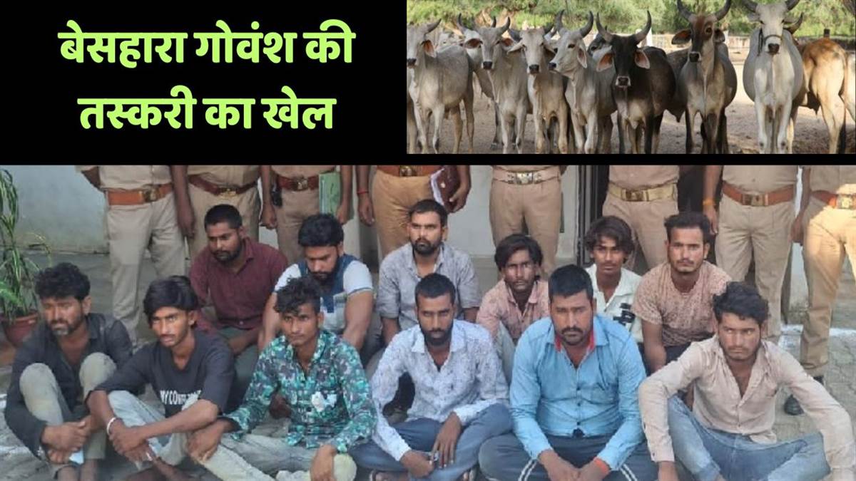 https://www.jagranimages.com/images/newimg/07092025/07_09_2025-cattle_smuggling_racket_24039079.jpg