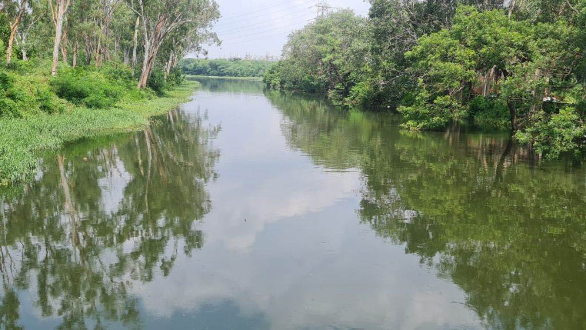 https://www.jagranimages.com/images/newimg/07092025/07_09_2025-palwal-flood_24038625.jpg