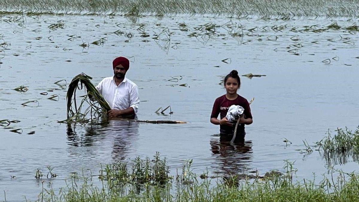 https://www.jagranimages.com/images/newimg/07092025/07_09_2025-punjab_flood_27_24039336.jpg