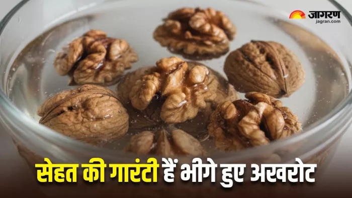 भीगे हुए खाने से महीनेभर में मिलेंगे 5 फायदे (Image Source: AI-Generated)