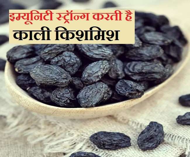 Black Raisins Benefits इम्यूनिटी स्ट्रॉन्ग करने के साथ ही स्किन में