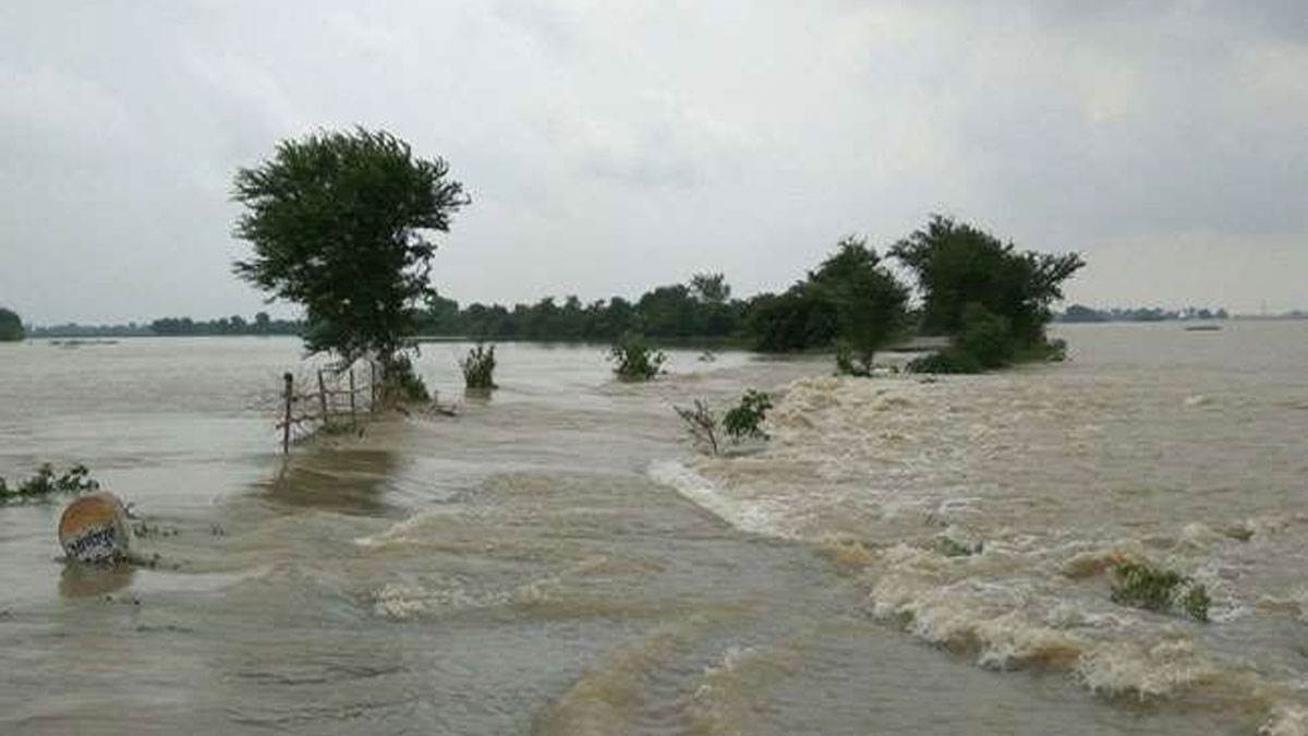 Bihar Flood: बिहार पर फिर मंडराया बाढ़ का खतरा; नेपाल में भारी वर्षा से गंडक में उफान, बराज के फाटक खोले - Bihar Flood: Threat of flood looms large over Bihar again;