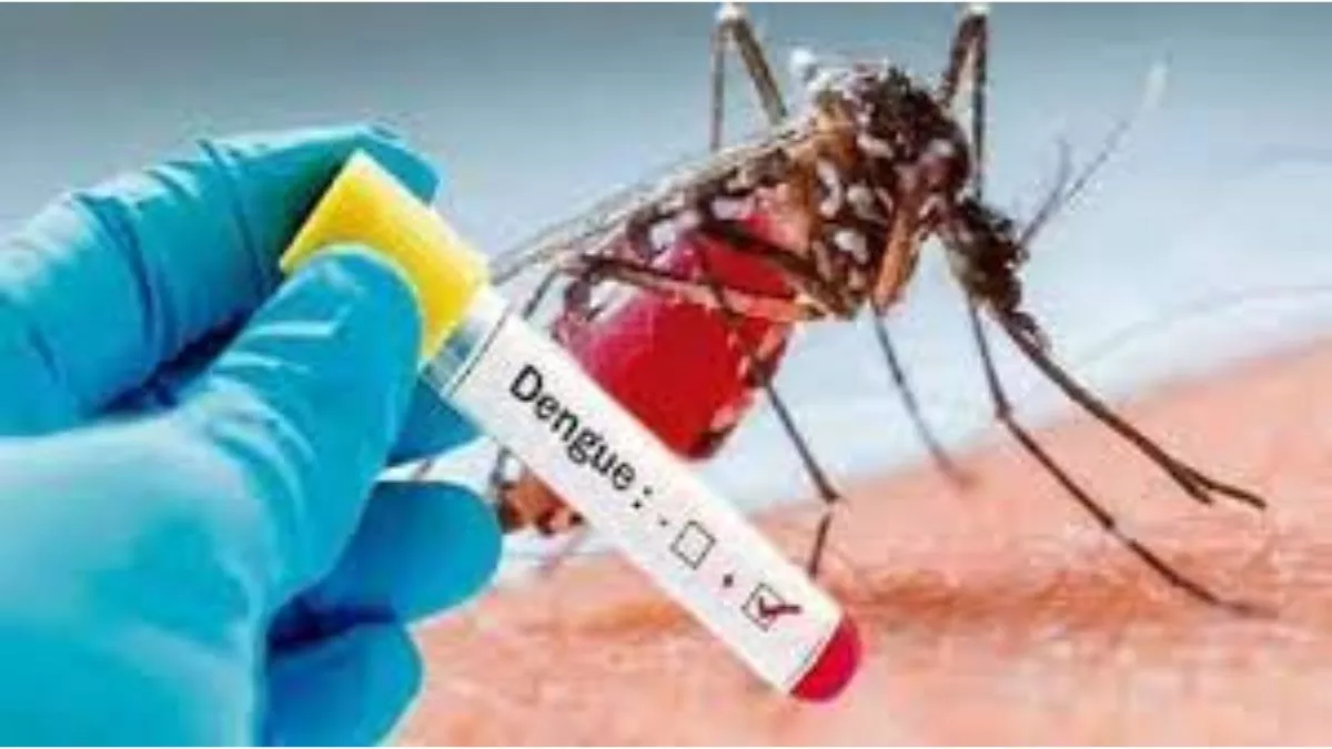 डेंगू का खतरा लगातार बढ़ रहा है।