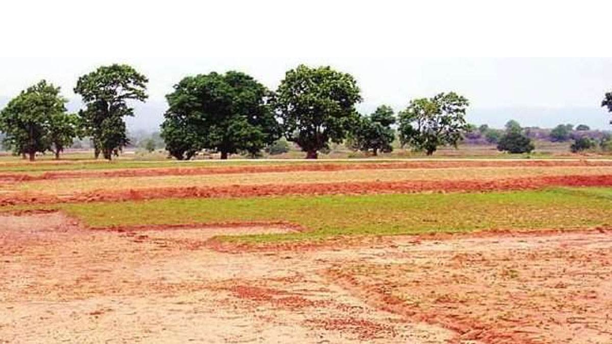 बिहार में सार्वजनिक व सरकारी भूमि का अतिक्रमण। सांकेतिक तस्‍वीर।