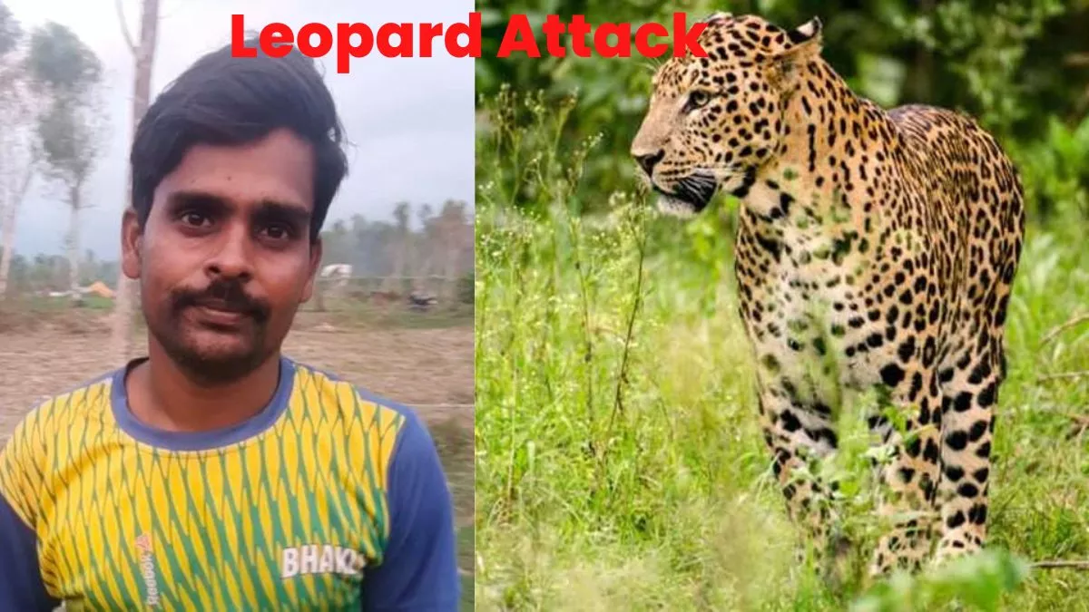 Amroha में तेजपाल के साहस के आगे Leopard नतमस्तक, बिना हमला किए उल्टे पैर भागा