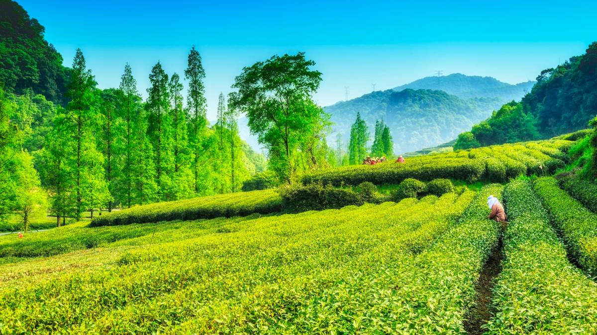 october travel destinations best places to visit in october in india in2022