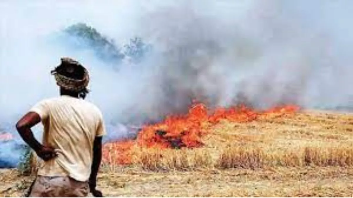 यमुनानगर में पराली जलाने वालों पर जुर्माना।