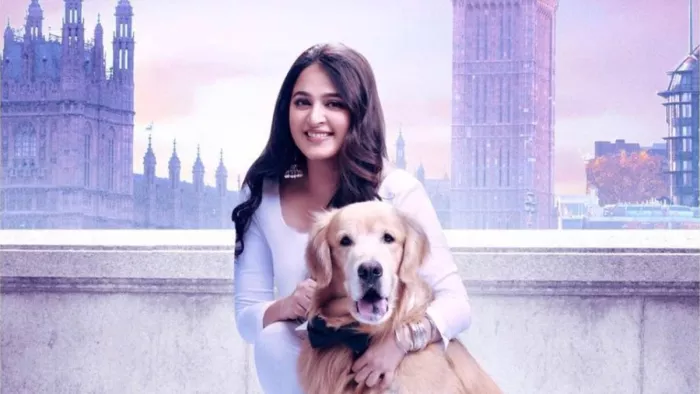 Anushka Shetty की फिल्म ने ओटीटी पर किया धमाल। Photo- Instagram