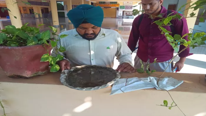 गमलों में मच्छरों की ब्रीडिंग चेक करते हुए सेहत विभाग के कर्मचारी। जागरण