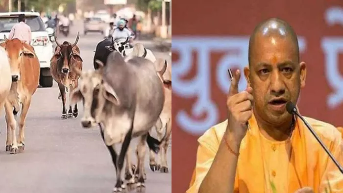 Bareilly News : मुकदमे के साथ भुगतना होगा यह अंजाम