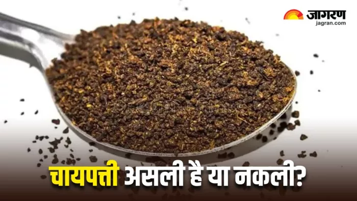 Tea Leaves Adulteration Test: चायपत्ती असली है या नकली, इन आसान तरीकों से घर बैठे करें पहचान (Image Source: Freepik)
