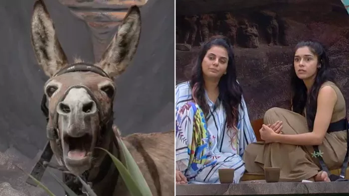 बिग बॉस 18 के घर में मौजूद गधा (Photo Credit-Jio Cinema)