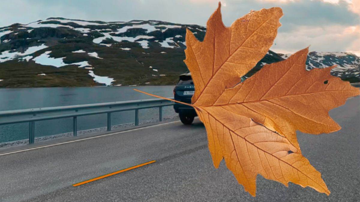 https://www.jagranimages.com/images/newimg/07102024/07_10_2024-dacia_duster_0801_23811348.jpg