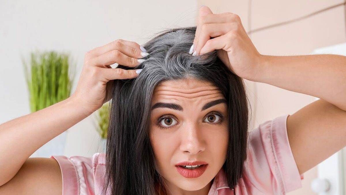 https://www.jagranimages.com/images/newimg/07102024/07_10_2024-herbs_for_premature_graying_23811208.jpg