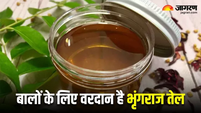 बालों से जुड़ी तमाम समस्याओं का समाधान है Bhringraj Oil, जानें इसे बनाने का तरीका (Image Source: Freepik)