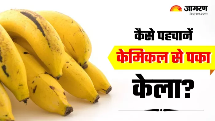 आप जो केला खा रहे हैं, वो जहरीले कार्बाइड केमिकल से तो नहीं पका? ऐसे करें पता (Image Source: jagran.com)