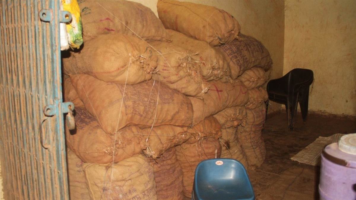 gorakhpur news sealed potato breach investigation begins
