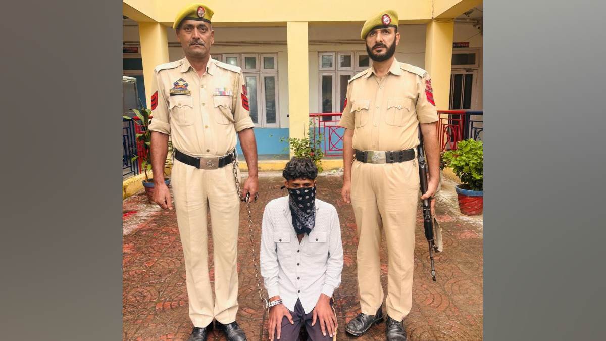 cattle theft one arrested five recovered in jammu