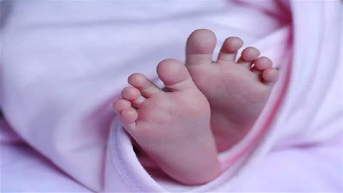 यूपी में अविवाहित युवती ने अस्पताल के शौचालय में दिया बच्चे का जन्म, कुत्तों ने नोचकर मार डाला; मची अफरातफरी