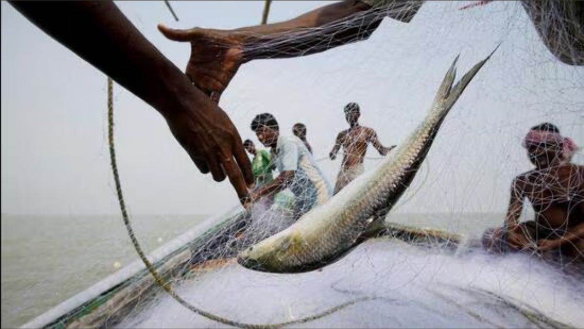 bangladesh deploys drones warships to protect hilsa fish during breeding season