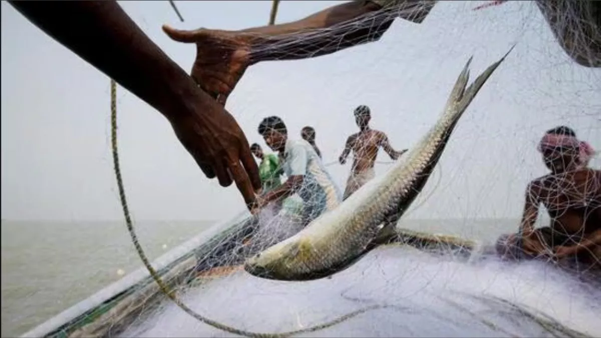 https://www.jagranimages.com/images/newimg/07102025/07_10_2025-bangladesh_hilsa_24073986.jpg