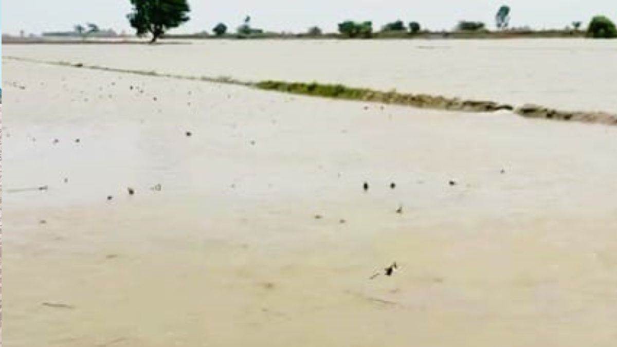 ferozepur villages are flooded again panicking residents 49000 cusecs of water released