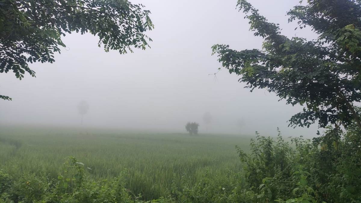 gaya news cold weather arrives temperature drops and foggy mornings