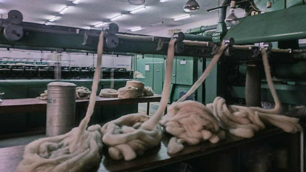 ncr ghaziabad news nitras research on colored cotton benefits textile manufacturers