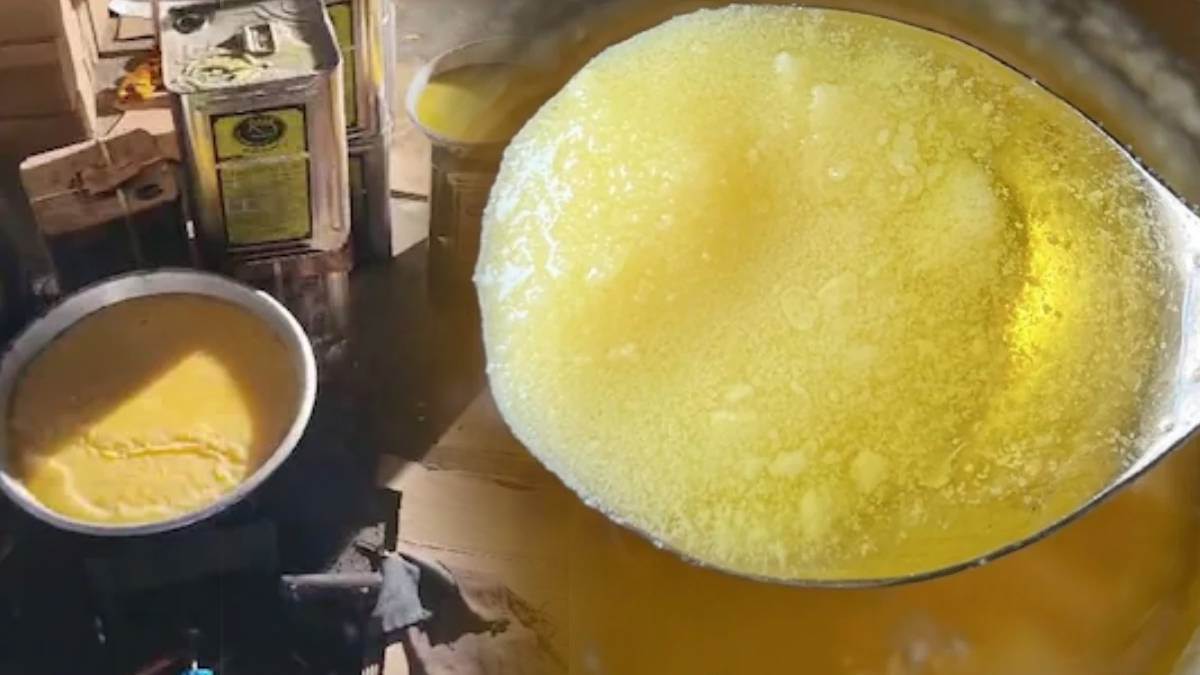 ludhiana food safety department seizes 50kg adulterated desi ghee