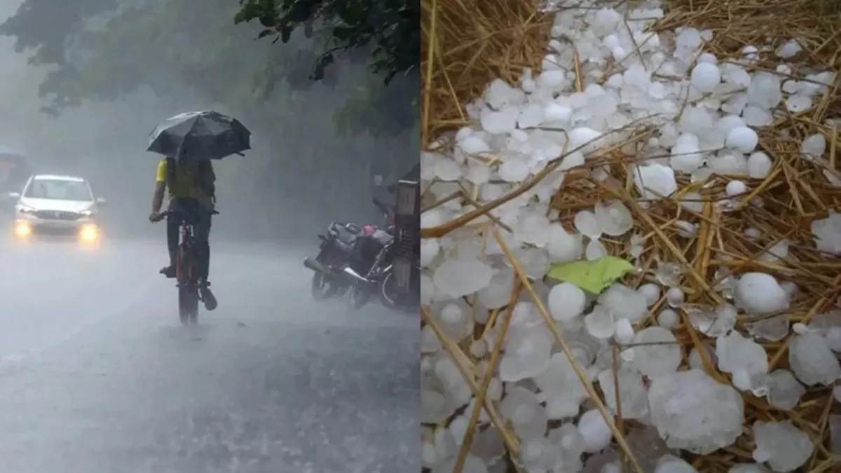 haryana weather update rain disrupts life hailstorm warning issued trouble for farmers