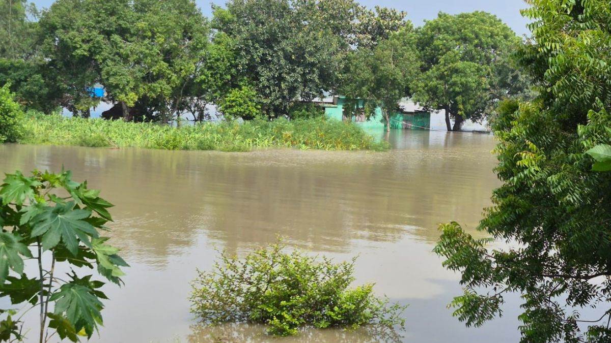 ncr noida news flood damage survey completed for farmers crops