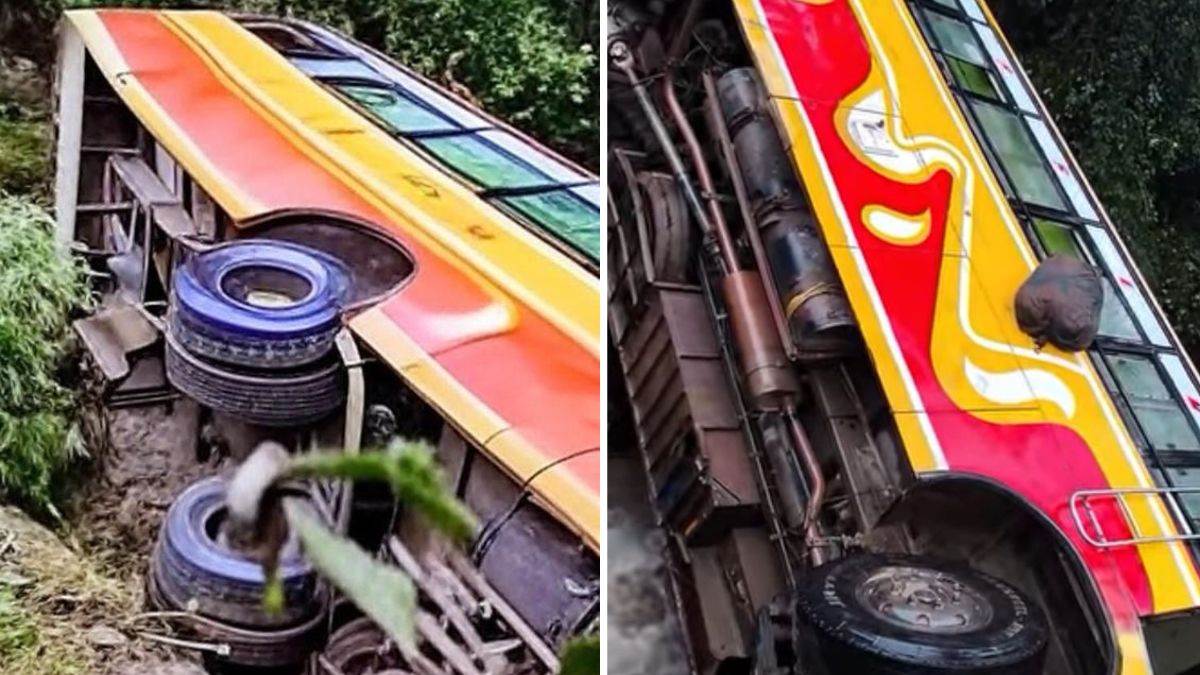 himachal pradesh bus accident at palampur 14 injured near csir