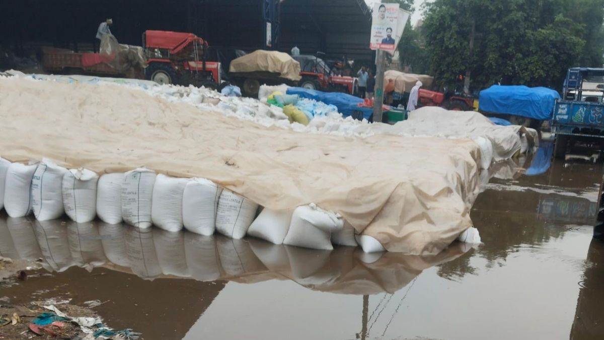 ncr rewari news rain cools down temperature affects grain market