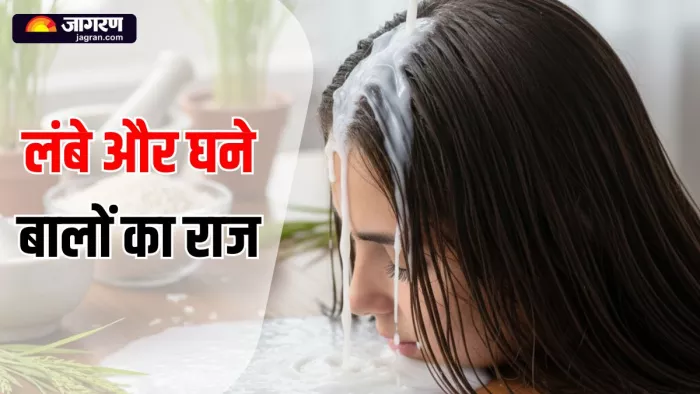 Rice Water for Hair: बालों की कई समस्याएं दूर करता है चावल का पानी (Image Source: AI-Generated)