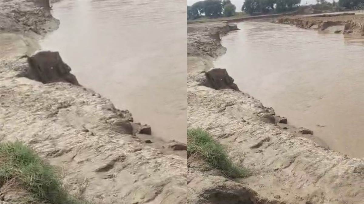 satluj river water flooding fields near pakistan border farmers in tension