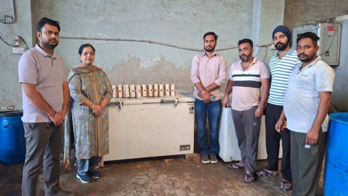 patiala news food safety team seizes suspected paneer sends samples for testing