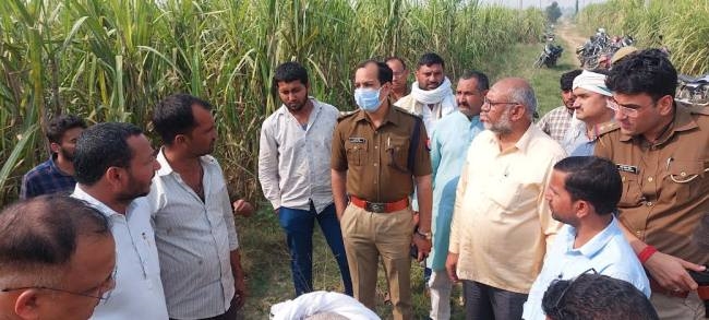 gokushi in bijauli mini kamela found walking in the field