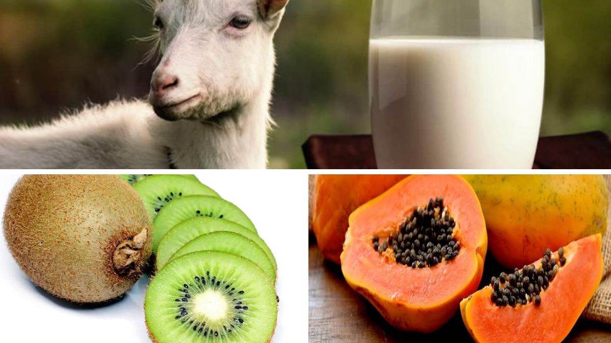 https://www.jagranimages.com/images/newimg/07112022/07_11_2022-food_for_dengue__23187963.jpg