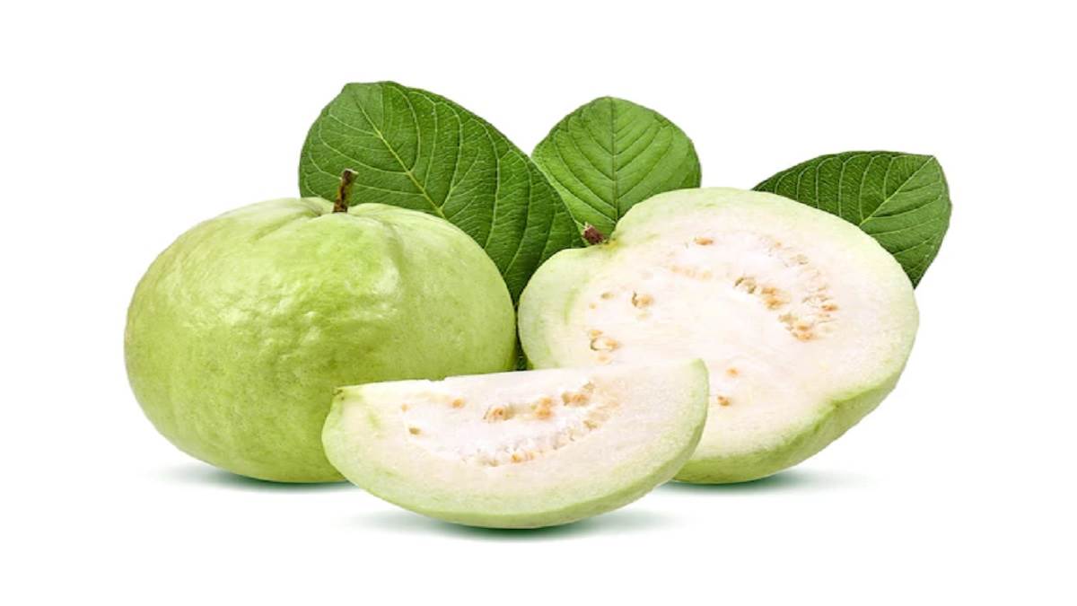 you will be surprised to know the amazing benefits of eating guava in winter