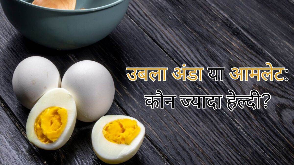 https://www.jagranimages.com/images/newimg/07112023/07_11_2023-egg_3_23575160_153315553.jpg