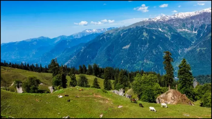 केंद्रीय विश्वविद्यालय में तीन दिवसीय राष्ट्रीय कार्यशाला शुरू