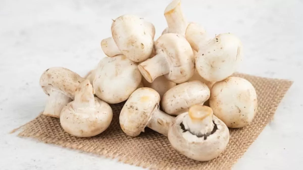 Mushroom Benefits In Winter: कोलेस्ट्रॉल कम करने से लेकर वजन तक, सर्दियों  में मशरूम खाने के हैं गजब के फायदे - why should eat mushrooms in winter  health benefits of mushrooms