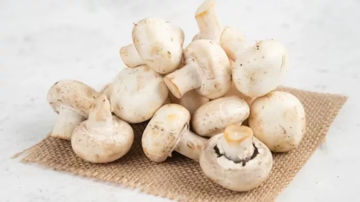 Mushroom Benefits In Winter: मशरूम खाने के क्या हैं फायदे