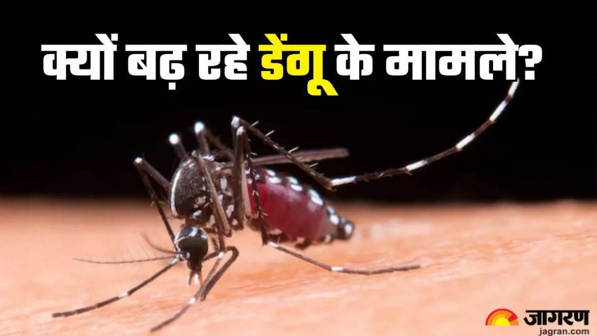 https://www.jagranimages.com/images/newimg/07112024/07_11_2024-dengue_1_23827163.jpg
