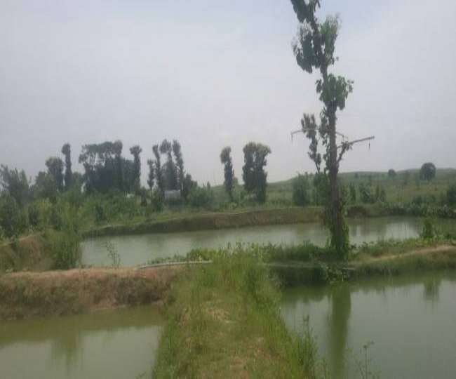 why will the forest department develop forest in kandi areas what is the plan of the department