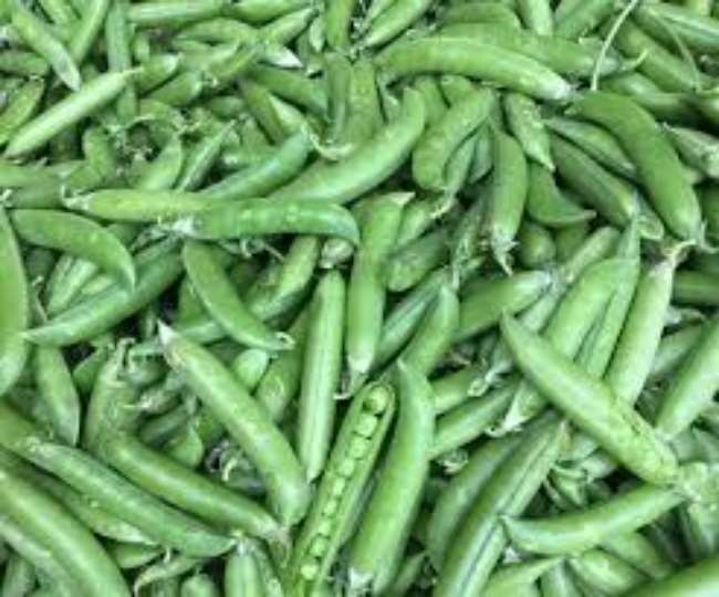 प्रयागराज के थोक बाजार में सब्जियों का आज का रेट जानें।