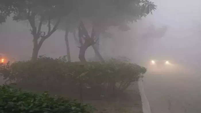 धुंध की चादर में लिपटा पंजाब, कोहरे से कई ट्रेनें हुई प्रभावि