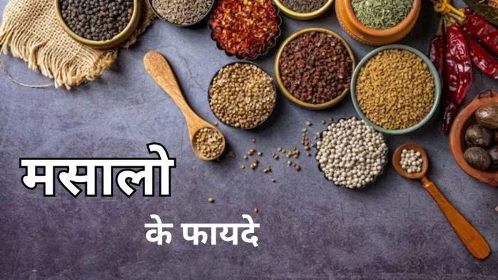 मसालो से मिलता है खाने में अनोखा स्वाद और सुगंध