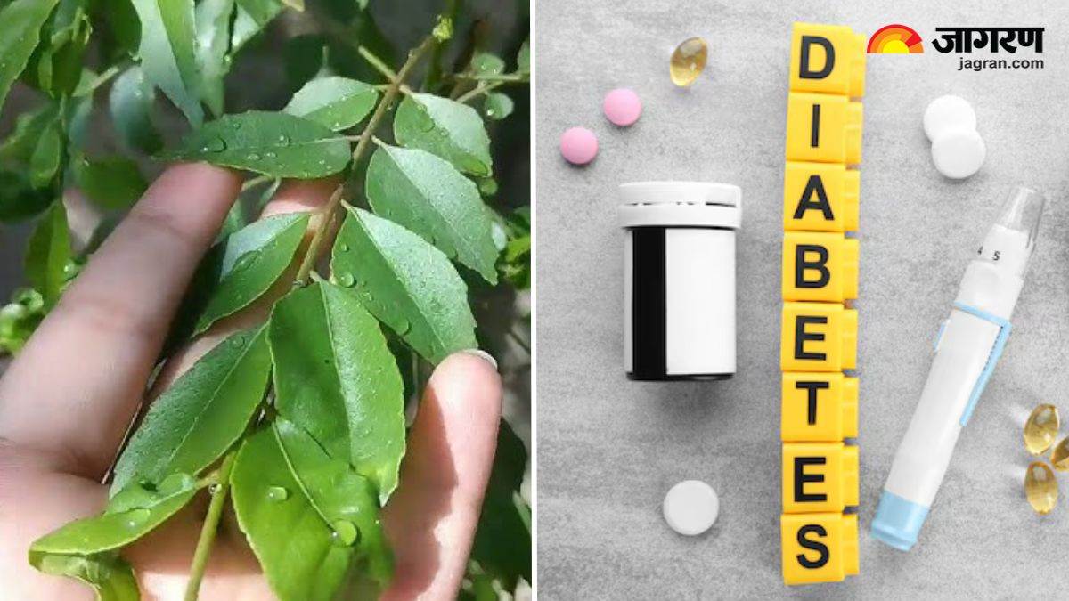 https://www.jagranimages.com/images/newimg/07122024/07_12_2024-curry_leaves_diabetes_23844043.jpg