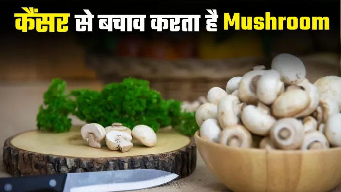 कैंसर और दिल की बीमारी से बचाव करने में मददगार है मशरूम। (Image Credit- freepik)